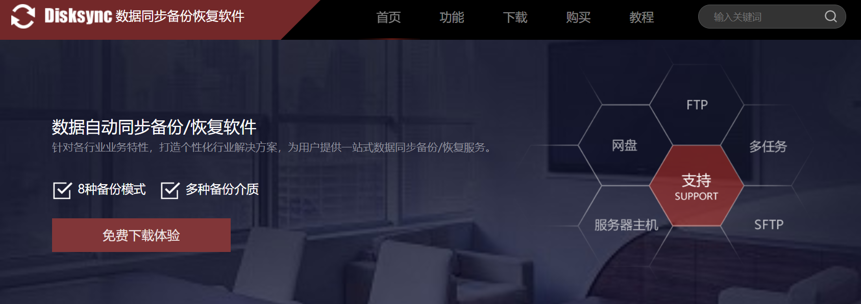 disksync官网