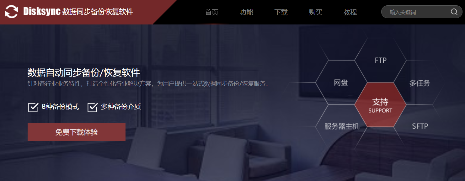 Disksync官网.png